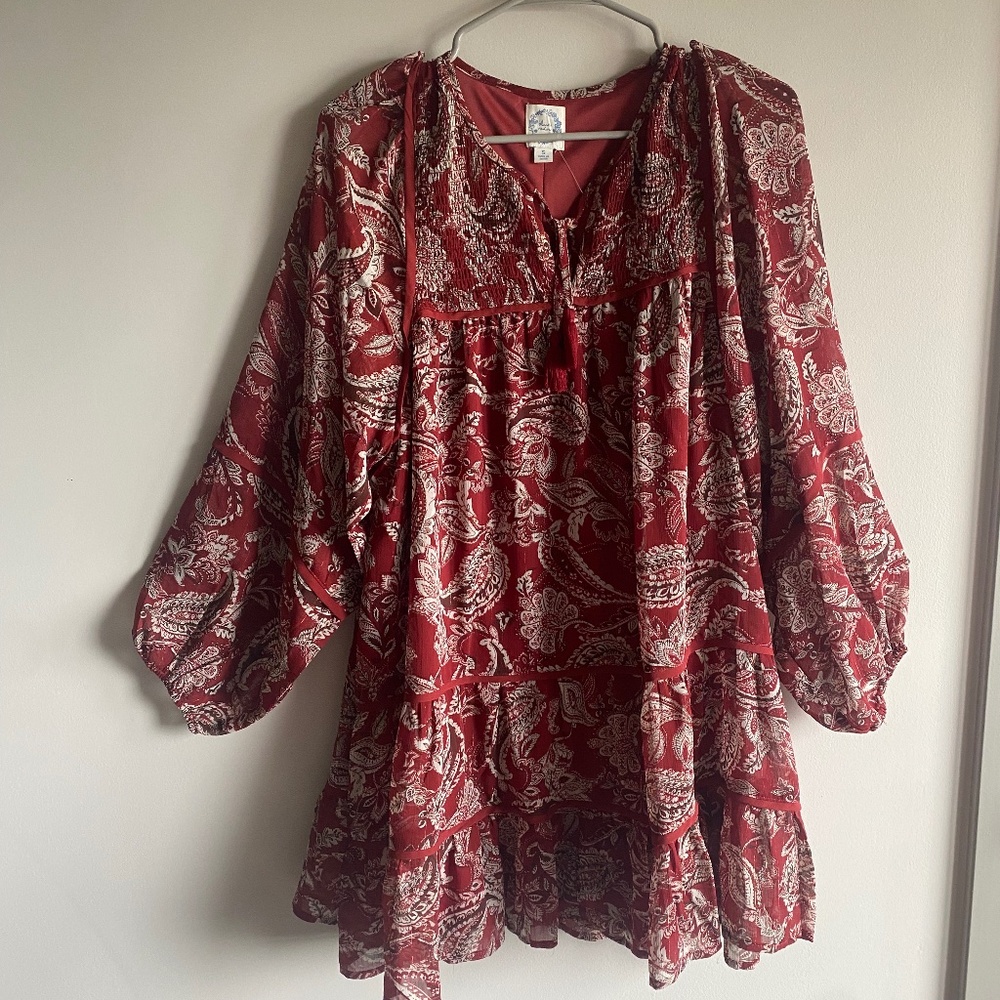 Mini Burgundy Paisley Dress from Francesca